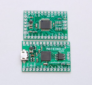 MoteinoLeo_top_compared